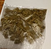 Na blacie leży przeźroczysty woreczek foliowy z zawartością marihuany.