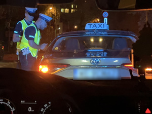 "Nic tam nie wycinałem, sądziłem, że nada trochę dźwięku" - kolejne efekty policyjnych działań pn. „Ciche Miasto 2025”