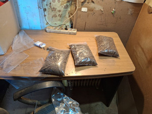 Odpowie za paserstwo akcyzowe