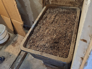 Odpowie za paserstwo akcyzowe