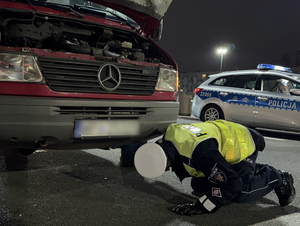 Kolejnych kilkaset skontrolowanych pojazdów