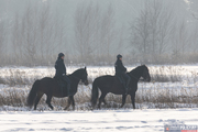Zimowy patrol konny