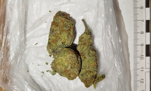 Interwencja policjantów z Żoliborza zakończyła się zabezpieczeniem narkotyków