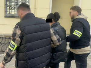 Działania służb w walce z przestępczością ekonomiczną i legalnością pobytu w Polsce osób mogących mieć związek z tego rodzaju przestępczością