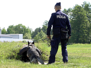 Cztery dni rywalizacji, jeden cel – wyłoniono najlepsze zespoły kynologiczne garnizonu stołecznego