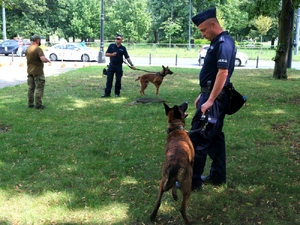Policyjna moc atrakcji. Piknik rodzinny z okazji Święta Policji