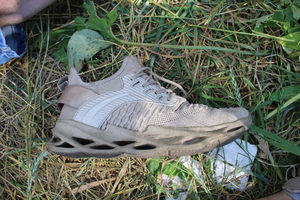 Zdjęcie przedstawia szarego buta sportowego leżącego bokiem na trawie.