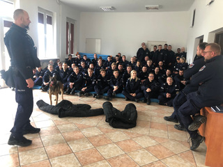 pies służbowy policyjny